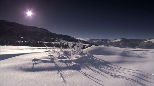 美国黄石公园，阳光照耀着雪景视频素材