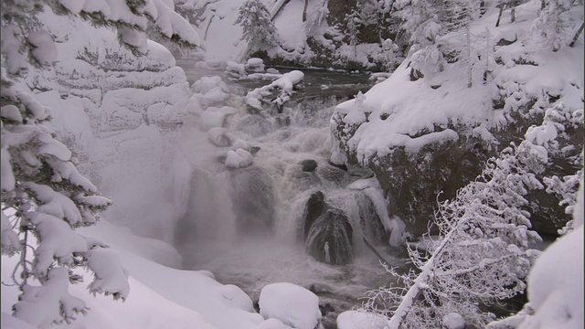 美国黄石公园雪域森林中的瀑布视频素材