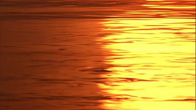 夕阳映在湖面上，黄石公园，美国视频素材