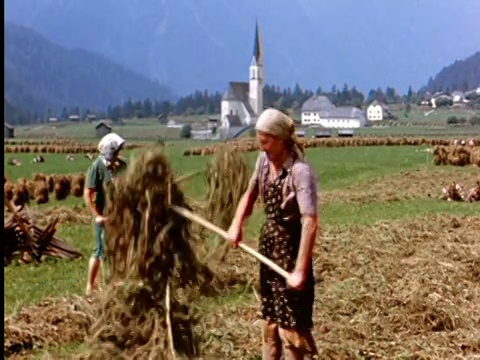 1960年代，奥地利，两名农妇用干草叉扔干草视频素材