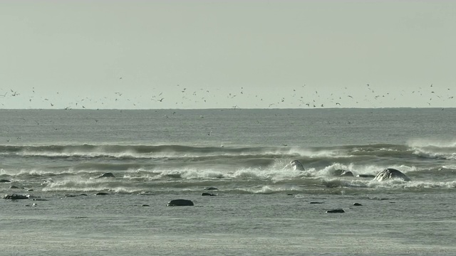 在冰岛海岸，波浪翻滚着向海岸冲去。视频素材