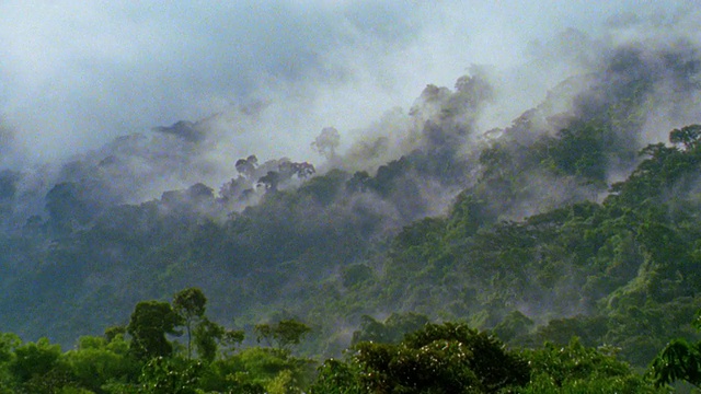 高角度放大蒸汽从热带雨林山/马努，秘鲁视频素材