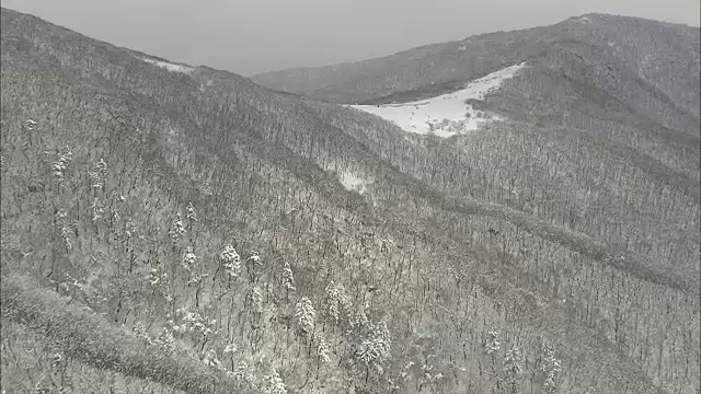 鸟瞰图白雪覆盖的贡白陵森林小径视频素材