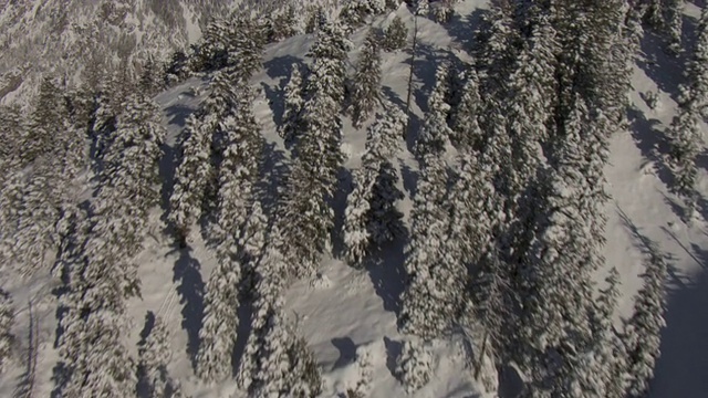 白雪覆盖了瓦萨奇山脉。视频素材