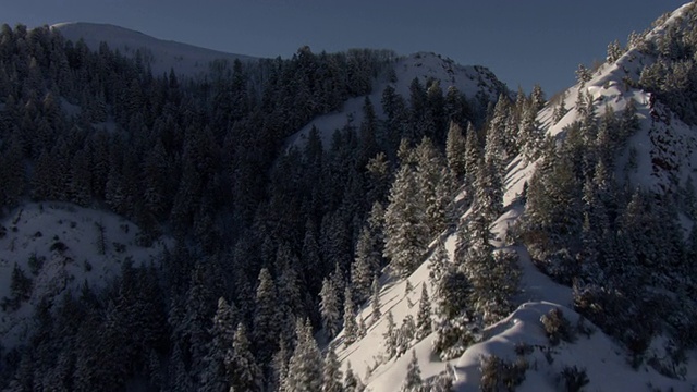 白雪和常青树覆盖着瓦萨奇山脉的山峰。视频素材