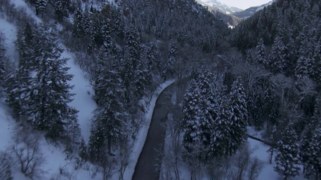 一条狭窄的道路蜿蜒穿过覆盖着积雪、树木繁茂的犹他州瓦萨奇山脉。视频素材