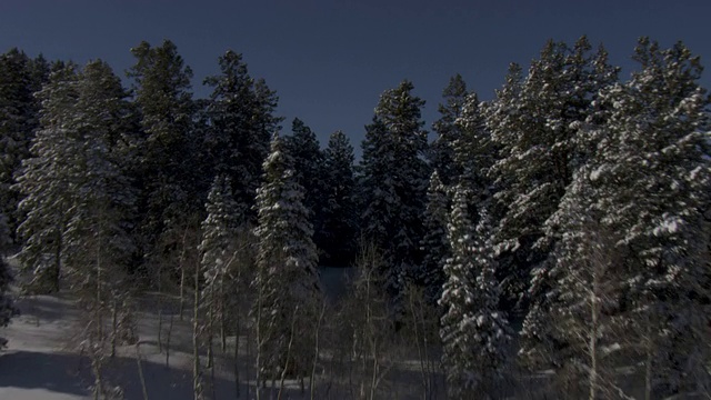 白雪覆盖了瓦萨奇山脉树木繁茂的山坡。视频素材