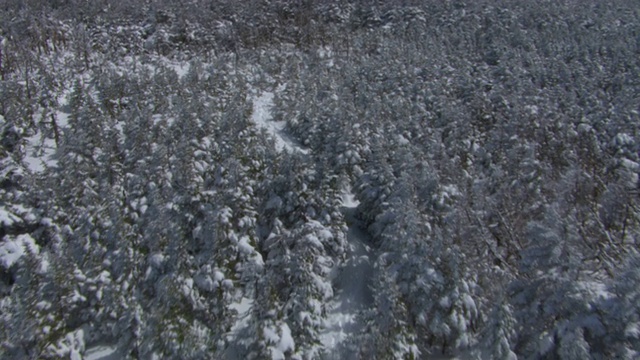 雪和树木覆盖了新罕布什尔州的拉斐特山。视频素材