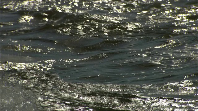 男孩们扛着冲浪板走向地中海的海浪。视频素材