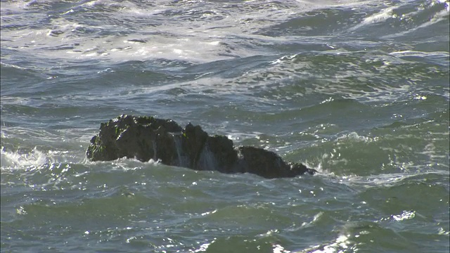 海浪在地中海的岩石周围撞击。视频素材