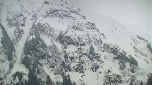 大雪覆盖了阿拉斯加一座森林茂密的山。视频素材