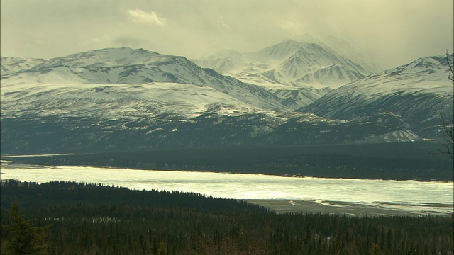 雪山和浓密的常绿森林排列在阿拉斯加的海岸线上。视频素材