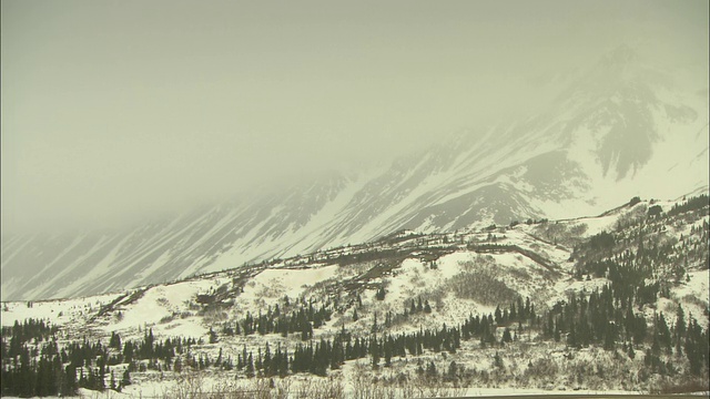 在阿拉斯加，雾气掩盖了白雪皑皑、森林茂密的山峰。视频素材