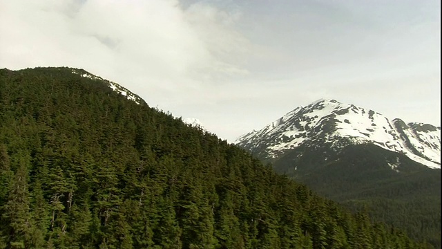 浓密的常绿森林覆盖着阿拉斯加的雪山。视频素材