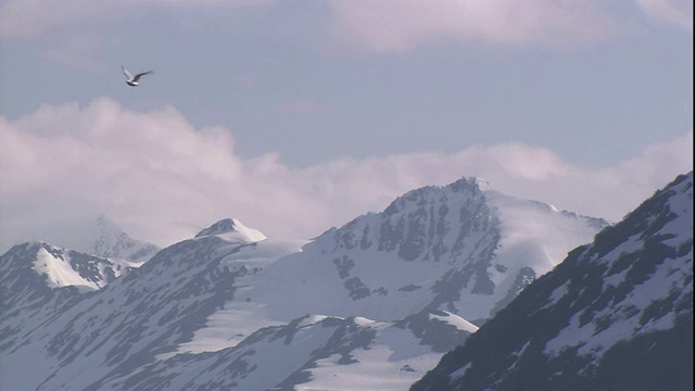 低云层环绕着阿拉斯加雪山的山峰。视频素材