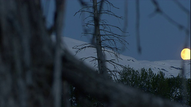 一轮满月在白雪皑皑的地平线上闪烁。视频素材