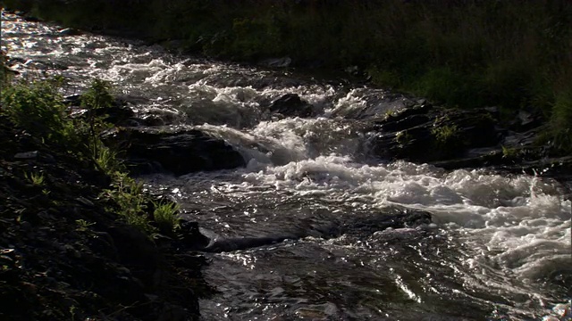 河水从岩石上流过。视频素材