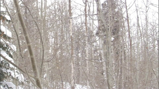 一个司机试图在下雪的情况下保持温暖视频素材