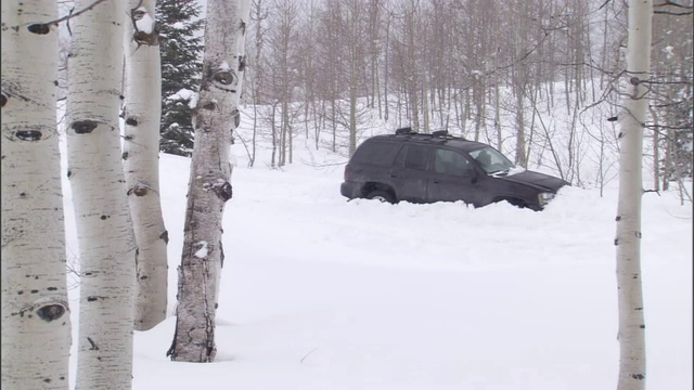 一场暴风雪把一辆SUV困在了雪堆里。视频素材