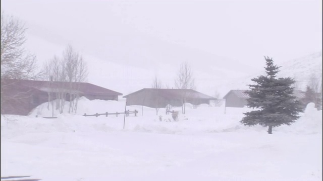 一场暴风雪将雪落在农场周围的景观上。视频素材