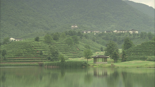 中国上海，春春酒店下的西湖湖岸有许多梯田。视频素材