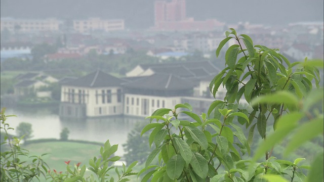 在中国上海的富春酒店附近，树木摇摆。视频素材