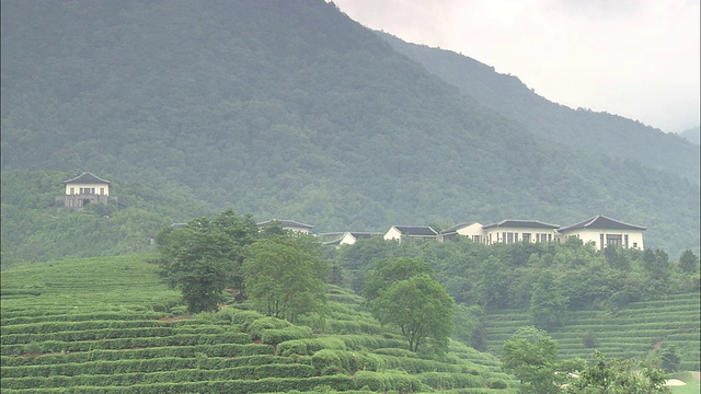 中国上海，在一个阴天里，春春度假村下面的山坡上排列着梯田。视频素材