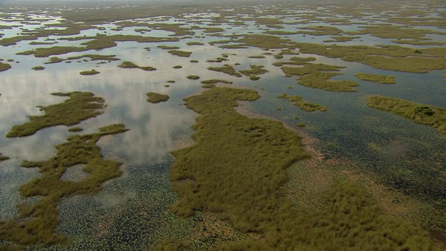 沼泽地的水反映了云之间的锯草在大沼泽地。视频素材