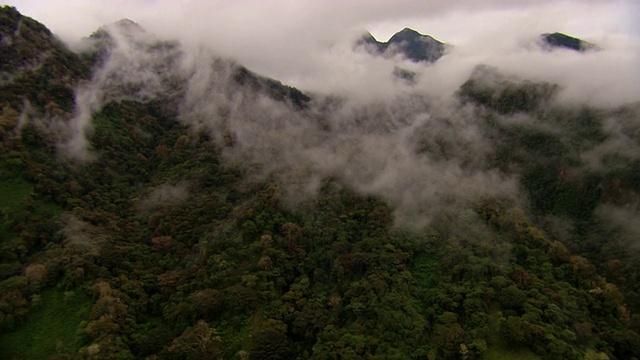 低洼的云层笼罩着山上郁郁葱葱的雨林。视频素材