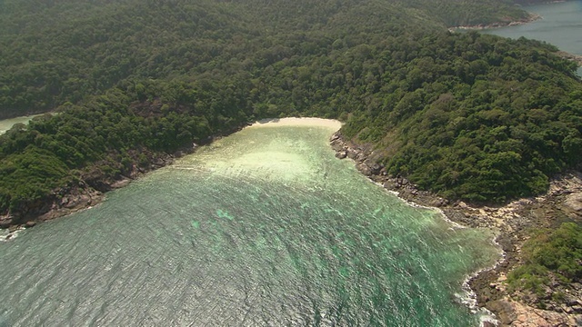 森林沿海湾排列着岛屿海岸。视频素材