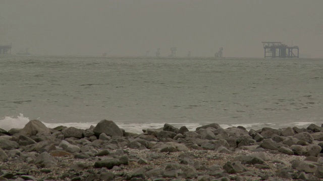 海豚游过岩石海岸线。视频素材