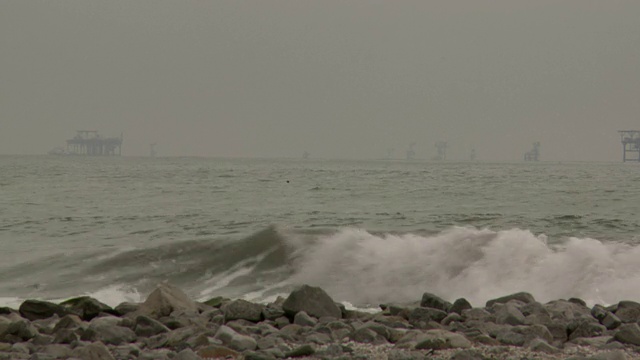 海豚在波涛汹涌的海洋中嬉戏，鸟儿在岩石海岸线附近潜水捕鱼。视频素材