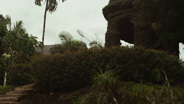 在Jardim Botanicos的石头建筑旁的台阶，里约热内卢视频素材