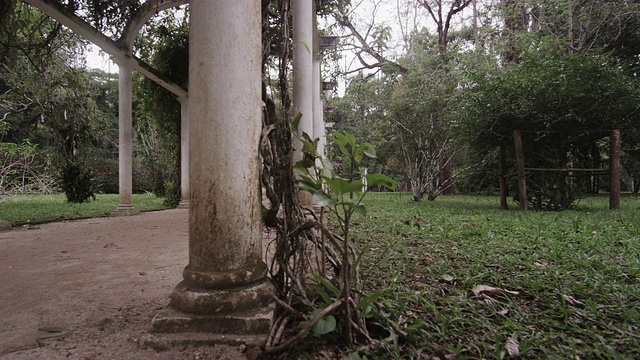 在里约热内卢的Jardim Botanico，古老拱门的右盘视频素材