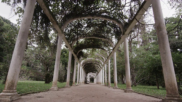 在里约热内卢的Jardim Botanico的拱门走道中进行跟踪拍摄视频素材