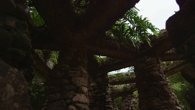 岩石结构在Jardim Botanico，里约热内卢视频素材