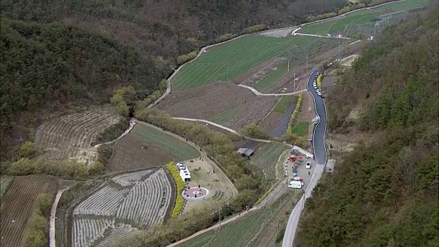 三宿峪山茱萸田鸟瞰图视频素材