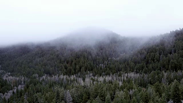 美国新墨西哥州圣达菲山森林上空的雾视频素材