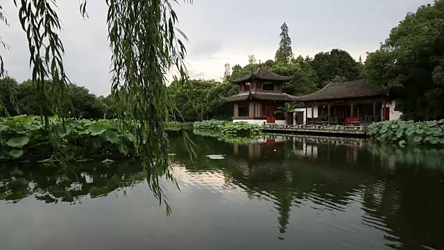 中国杭州西湖“歪院清风荷花”风景视频素材