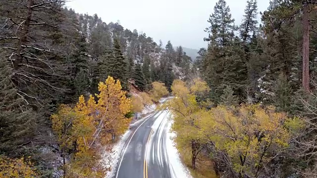 美国新墨西哥州圣塔菲，穿越积雪森林的道路视频素材