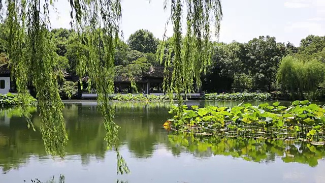 中国杭州西湖“歪院清风荷花”风景视频素材