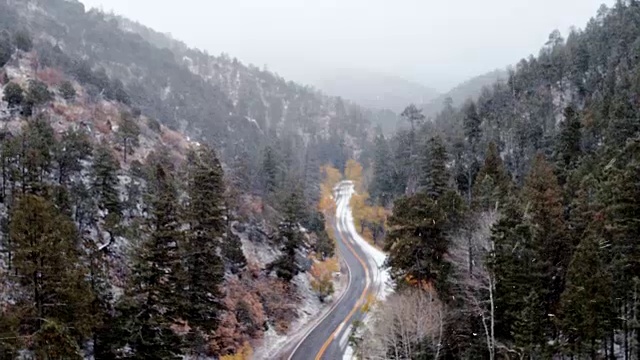 美国新墨西哥州圣塔菲，穿越积雪森林的道路视频素材