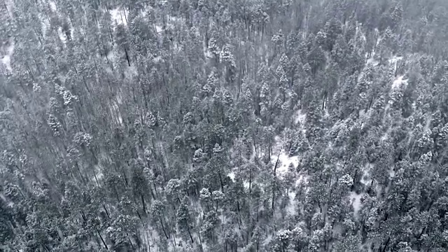 美国新墨西哥州圣达菲的山林里有雪视频素材