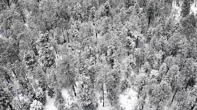 美国新墨西哥州圣达菲的山林里有雪视频素材