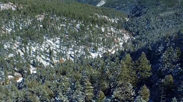 鸟瞰图的雪山森林，陶斯，新墨西哥州，美国视频素材