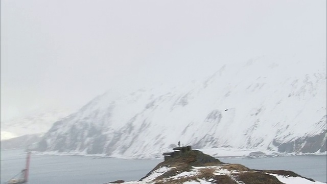 一只秃鹰在阿拉斯加荷兰港的雪山上飞翔。视频素材