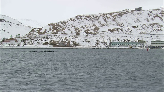 荷兰港冰雪覆盖的海岸上排列着工业建筑。视频素材