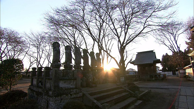 夕阳在日本的一座寺庙和庭院中洒下金色的光芒。视频素材