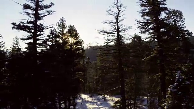 太阳升起在雪原，陶斯，新墨西哥州，美国视频素材