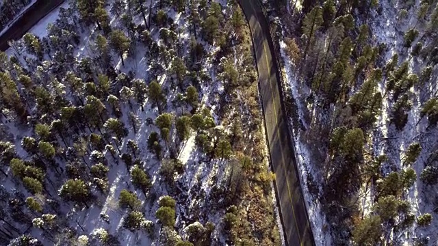 高角度的卡车驾驶在绿树成荫的道路，陶斯，新墨西哥州，美国视频素材